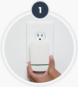 Step 1: Plug in the device